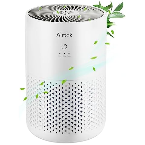 Purificateur d'air AIRTOK KQ-31 Cover