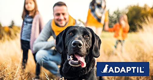 Ceva ADAPTIL Chews für Hunde | Doppelpack | 2 x 30 Kautabletten | Ergänzungsfuttermittel für Hunde das in Stresssituationen unterstützend wirken kann | Kautabletten im Blister