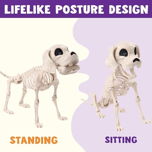 Image of JOYIN Posable Halloween Dog Skeleton Full Body Posable Joints Realistic Skeleton Puppy with Movable Joints for Halloween Decoration, Graveyard Party Decor (9.8 inch X 4.7 inch X 12.6 inch)