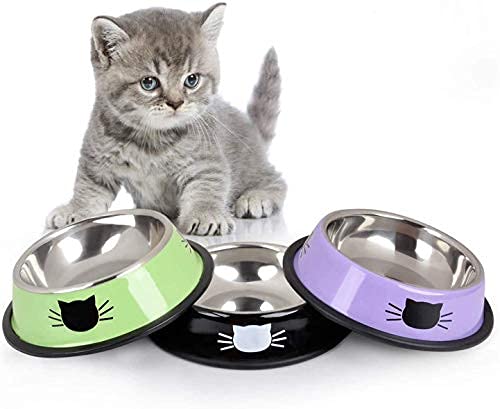 Bol pour Chat Bol pour Animaux de Compagnie Bol pour Aliments pour Chats en Acier Inoxydable avec Base en Caoutchouc antidérapante Petit Bol pour Animaux de Compagnie Bols d'alimentation pour Chats Cover
