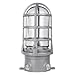 Thomas & Betts VXG-11-C Red Dot Vaportight Ceiling Mount Cross-Feed Fixture Assembly, 1/2-Inch Hub, Maximum Wattage-100 Watts, Aluminum Lacquer Finish