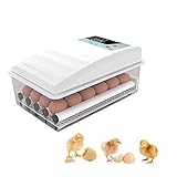 OTUEGFGFD Incubadora de Huevos, incubadora de Huevos con Giro automático, Control de Temperatura para 12 Huevos para incubar Pollos, Patos, Gansos y Aves, Doble Potencia