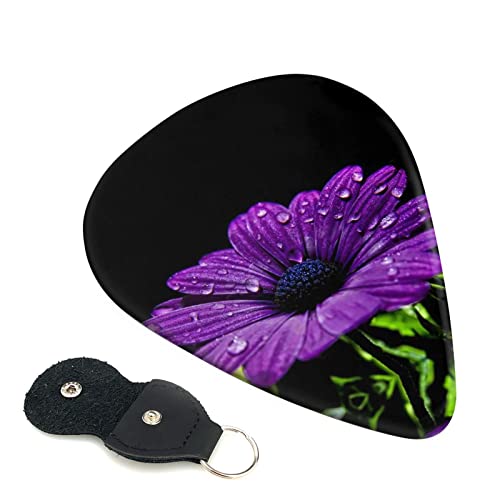 Purple Daisy Lot de 6 médiators pour guitare acoustique, guitare électrique, basse, ukulélé – fins, moyens et épais - Les Beatles, Paul McCartney, John Lennon, RIngo Starr, George Harrison Purple Daisy Lot de 6 médiators pour guitare acoustique, guitare électrique, basse, ukulélé – fins, moyens et épais