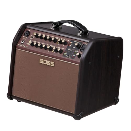Boss ACS Live 60W Combo Amplifier for Acoustic Guitar and Vocals - Thumbnail 7
