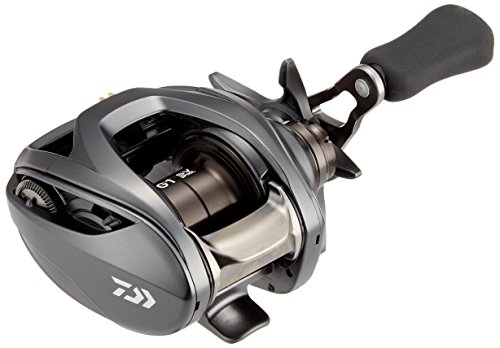 ダイワ(DAIWA) ベイトリール 16 スティーズ SV TW 1016SV-SH (2016モデル) 4枚目