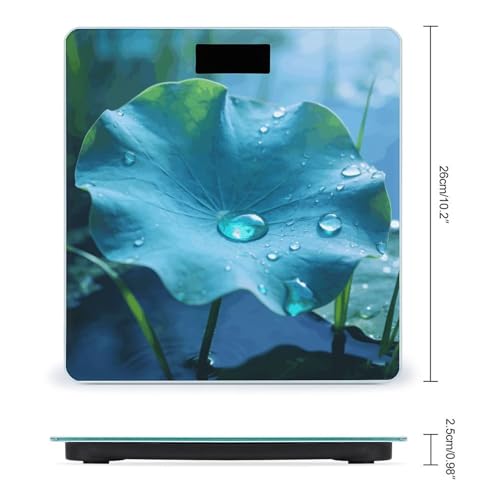 Báscula de Baño Digital con Vidrio Templado y Pantalla LCD miniatura 2