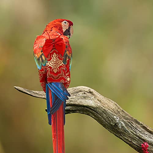 ULTECHNOVO-Bird-Parrot-Suit-Nappy-with-Bow-Red-Pet-Clothes-for-Parakeets-Cockatiels-Conures-Finches-Lovebird-L