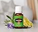 Young Living Calming, Relaxing Essential Oil Blend | 15 ml | Exotic Aroma with Copaiba, Lime, Lavender & Vanilla | Soothing Fragrance for Home, Work, and Personal Use