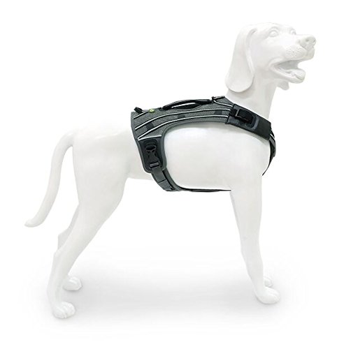 EQDOG 102-199 Arnés Pro Negro con Detalle Reflectante, L/XL