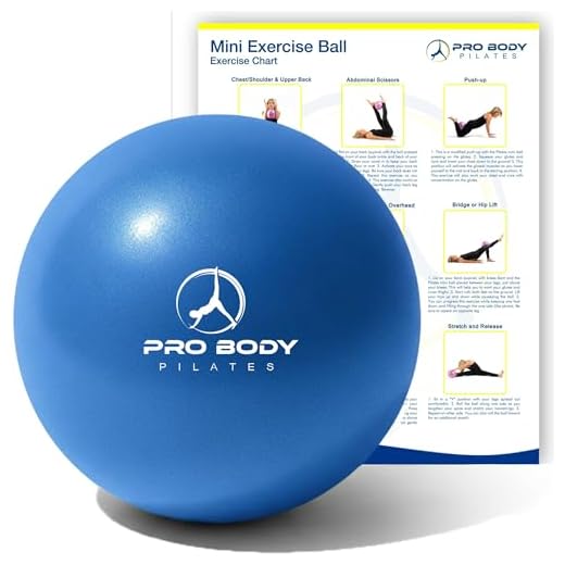 ProBody Small Exercise Ball