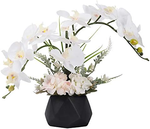 LESING Artificial Ochid Flowers Fake Faux Orchid Arrangement with Vase Artificial Bonsai Potted Flowers Phalaenopsis Orchid in Vase for Home Decoration (Style 2,Black Vase)