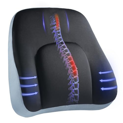 HUANUO Lumbar Support Pillow for Office Chair, Car Back Support Pillow, Memory Foam Back Cushion with Double Adjustable Straps, Ergonomic Posture Corrector for Sitting Comfort