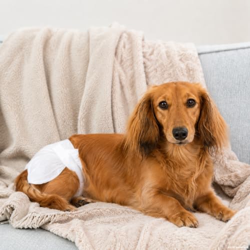 TRIXIE Hundewindeln für Hündinnen Gr. XS–S, 12 St., 20–28 cm Taillenumfang