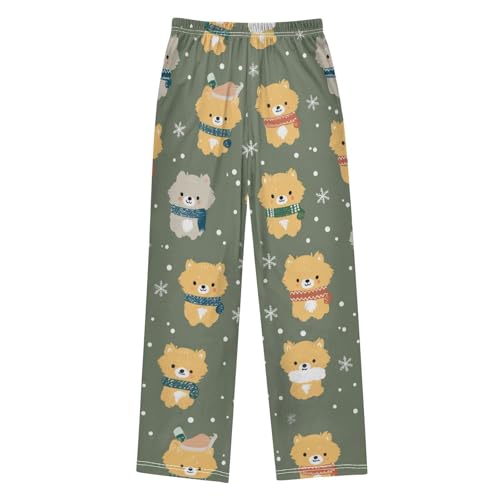 ZZXXB Lovely Pomeranian Snow Boys Long Pants Soft Trousers Elastic Waist Kids Lounge Bottoms with Pockets S-XL2