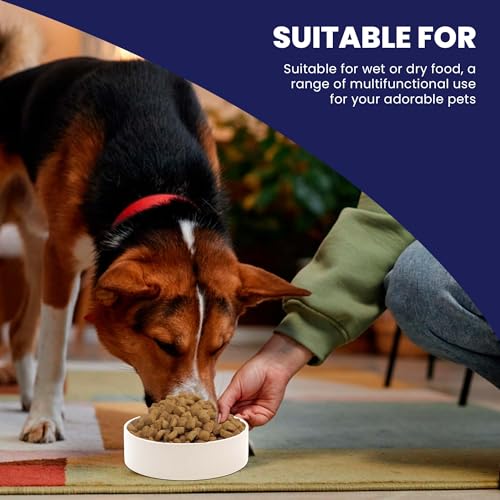 SPOT Ceramic Stoneware- Pet Bowl for Medium and Large Dogs, Classic Heavy Duty Non-Slip Ceramic Bowl for Food and Water – 9.5in Diameter SPOT Ceramic Stoneware- Pet Bowl for Medium and Large Dogs, Classic Heavy Duty Non-Slip Ceramic Bowl for Food and Water – 9.5in Diameter