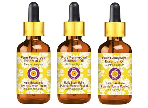 Huile essentielle de Pennyroyal Deve Herbes contre les odeurs et insectes Mentha pulegium