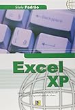  Excel XP