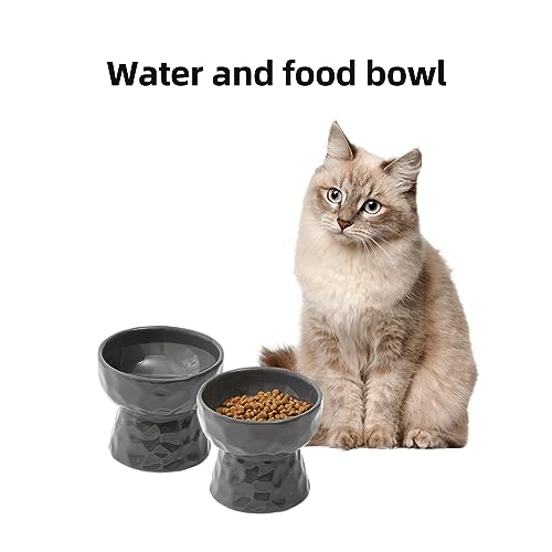 Havniva Ceramic Raised Cat Bowl, Elevated Food and Water Bowl,Kitty Bowl,Cat Dish, Pet Feeder (Dark Grey, Raised x 2), NOT tilted.