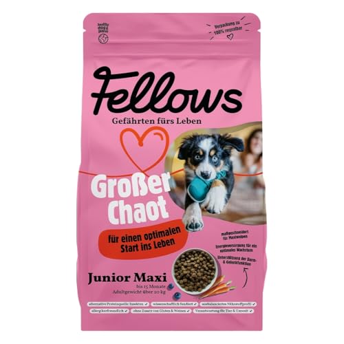 Fellows Großer Chaot Trockenfutter für heranwachsende Hunde – Speziell für Welpen großer Rassen, mit Insektenprotein, Krill und Ei, fördert gesundes Wachstum (500 g)