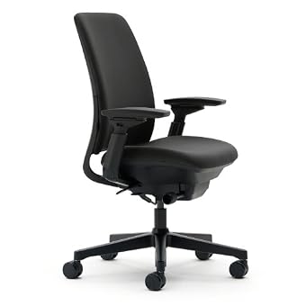 Steelcase Amia Office Chair, Most Comfortable Sit, Buzz2 Black Fabric