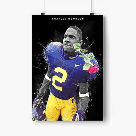 Charles woodson jersey amazon Clearance