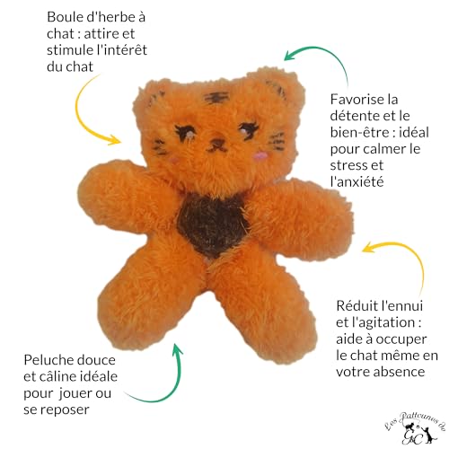 Les pattounes de G&C Jouet Chat Interactif 2 pièces - Boîte Duo Spéciale Jeu - Peluche Herbe à Chat - Chaton- Intérieur - Stimulant – Image 3