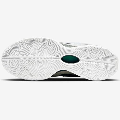 Nike Lebron XXI Conchiolin Basketball Shoes (HF5841-100, White/Bicoastal/Photon Dust/Black) Size 9.5