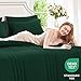 CozyLux Queen Size Comforter Sets - 7 Piece Bed in a Bag Emerald Green Comforter Set with Sheets Queen Bed Set All Seasons, Bedding Set with Down Alternative Comforter, Sheets, Pillowcases & Shams