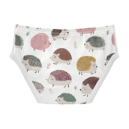 Wusikd Cute Hedgehogs Boys' Underwear Cotton Boys Briefs Soft Toddler Underwear 2T2