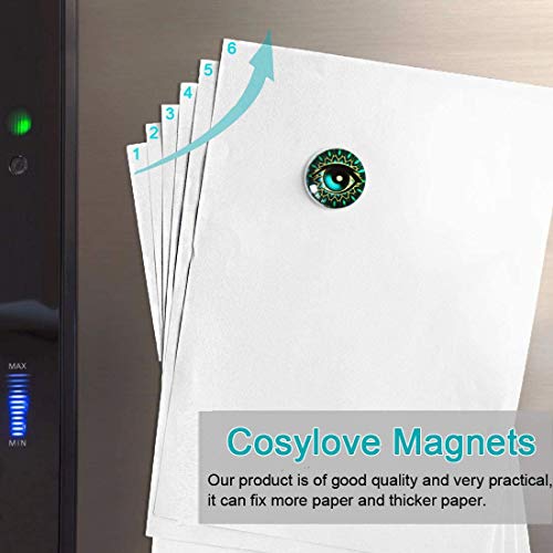 Cosylove - 12 calamite per frigorifero, creative