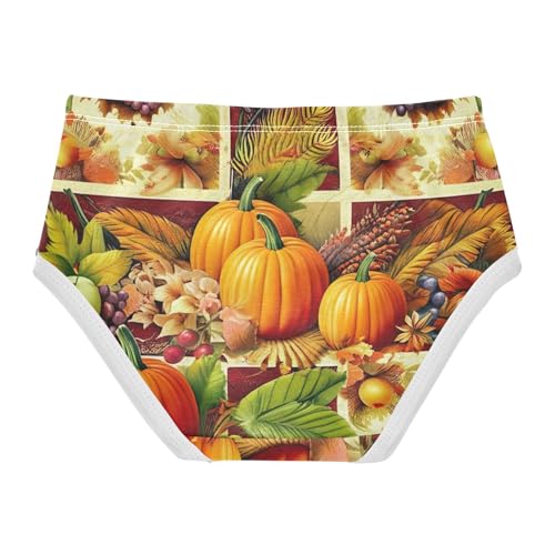 Toddler Underwear Custom 2t Cotton Girl Panties Cute Personalized Kids Briefs Undies Thanksgiving Pumpkins Fruits2