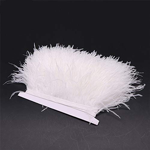 Tukcherry Plumes Blanc, Blanc Plume Décoration, Idéal pour Costumes, Chapeaux, Décoration d'intérieur Fete Mariage Anniversaire, Multicolore (1M White)