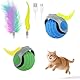 Chase Master Pro Katzenspielzeug Elektrisch, 2 Pcs Geräuscharmes Katzenball Elektrisch, USB Wiederaufladbar Katzenspielzeug Selbstbeschäftigung Rolling Ball mit Schwanz, Interaktives Katzen Spielzeug