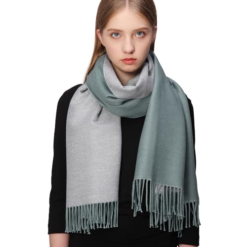 Écharpe d'hiver en cachemire et laine Pashmina femme longue chaude épaisse