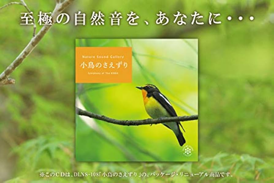 癒しの森 CD 自然音 鳥 鳴き声 癒しの森 CD 自然音 鳥 鳴き声 Bird song