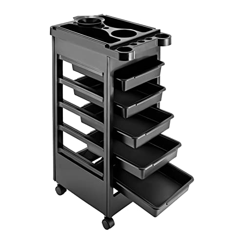 5 Layer Salon Rolling Trolley Cart, Beauty Salon Trolley Cart with Wheels, Salon Rolling Cart for Stylist with 5 Removable Drawers, Rolling Hairdressing Cart for Hairdresser Beauty Tattoo