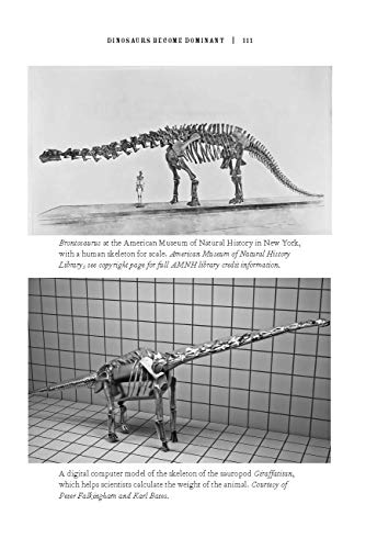 The Rise and Fall of the Dinosaurs: A New History of Their Lost World - Image 4