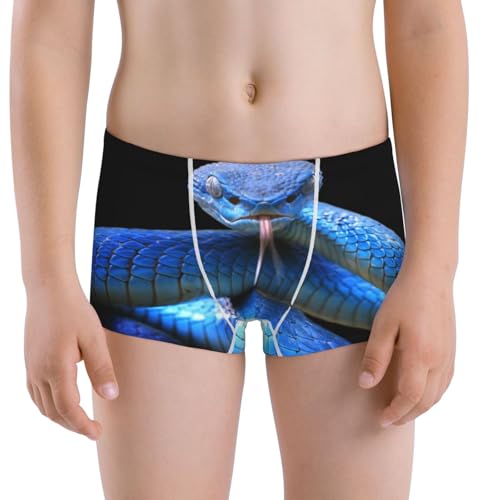 Boys' Cotton Boxer Brief Soft Underwear-Blue Viper Snake
