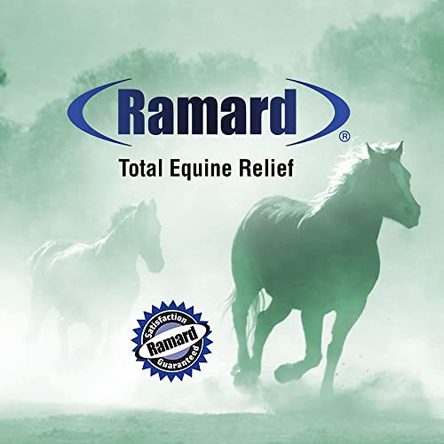 Ramard Total Equine Relief - Total Equine Supplement To Care For Joint & Tendon Health, Horse Feed To Address Swelling & Discomfort, Supplement For Horses' Performance & Training, 1 Syringe (1/2 Oz). #TOP5