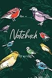 Notizbuch: Übersichtliches Notiz-Journal im exotischem Vogel-Design und 3 Seitentypen - Bird Life Publishing 