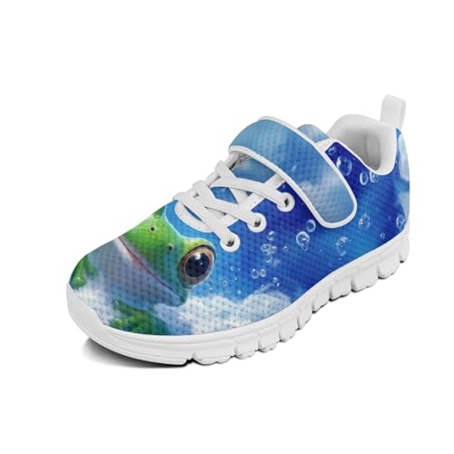 Little Kid Boys Girls Lightweight Breathable Sneakers Strap Athletic Tennis Shoes for Running Walking Frog Pattern（White Sole）