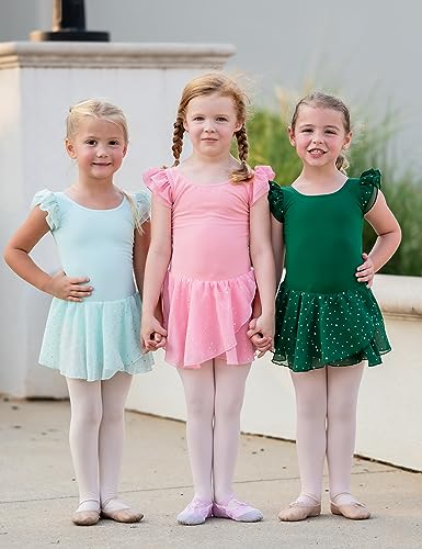 Image of Arshiner Girls Ruffle Sleeve Ballet Dance Dress Tutu Skirted Leotard