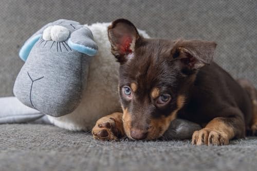 Beeztees Welpen Plüschtier Herzschlag, Plüsch-Hund für Welpen, weiß/grau, 35x20x14 cm