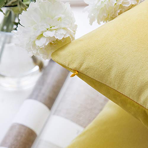 Image of Phantoscope Pack of 2 Velvet Decorative Throw Decorative Pillow Cover Soft Solid Square Cushion Case for Couch Yellow 20 x 20 inches 50 x 50 cm