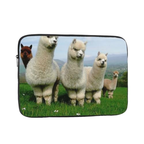 Housse pour ordinateur portable de 13 pouces avec motif alpaga family