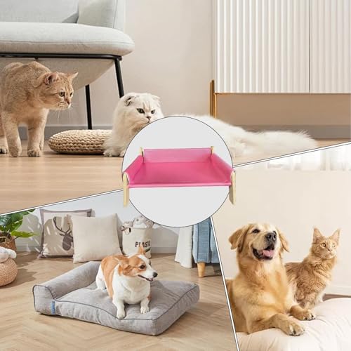 Hundesofas, Katzenbetten, hautfreundliche Katzensofas, stabile Hundebetten, Hundesofas und Stühle mit abnehmbarem Sofabezug für Welpen und Katzen