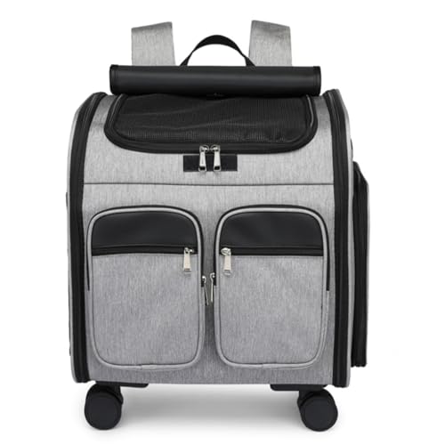 Lekolock ybgbNLX^[tgєLobOeʒʋC܂݉\ybgUJ[gL[P[X41*30*43 cm (O[)