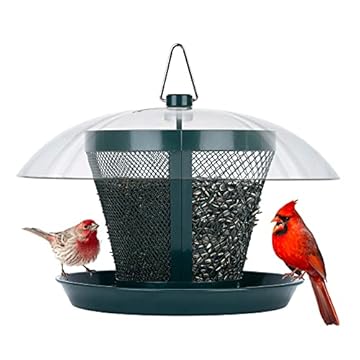bird feeder with rain guard that will change your backyard experience 1 bird feeder with rain guard