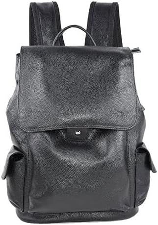 WESBR Laptop Backpacks, Genuine Leather Head Layer Cowhide Lychee Pattern Backpack， Casual All-Match ，External Usb Charging，Can Accommodate Laptops
