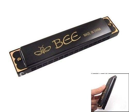 Gaita Instrumento Musical Sopro - 24 Furos Holes Bee